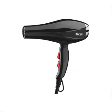 DSP Hair Dryer 30102