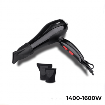 DSP Hair Dryer 30102